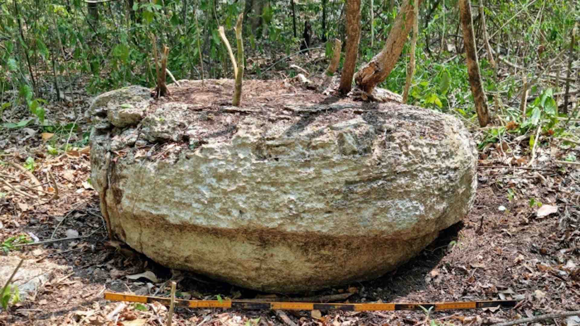 Unprecedented Maya city discovered in Southern Mexico's untouched wilderness