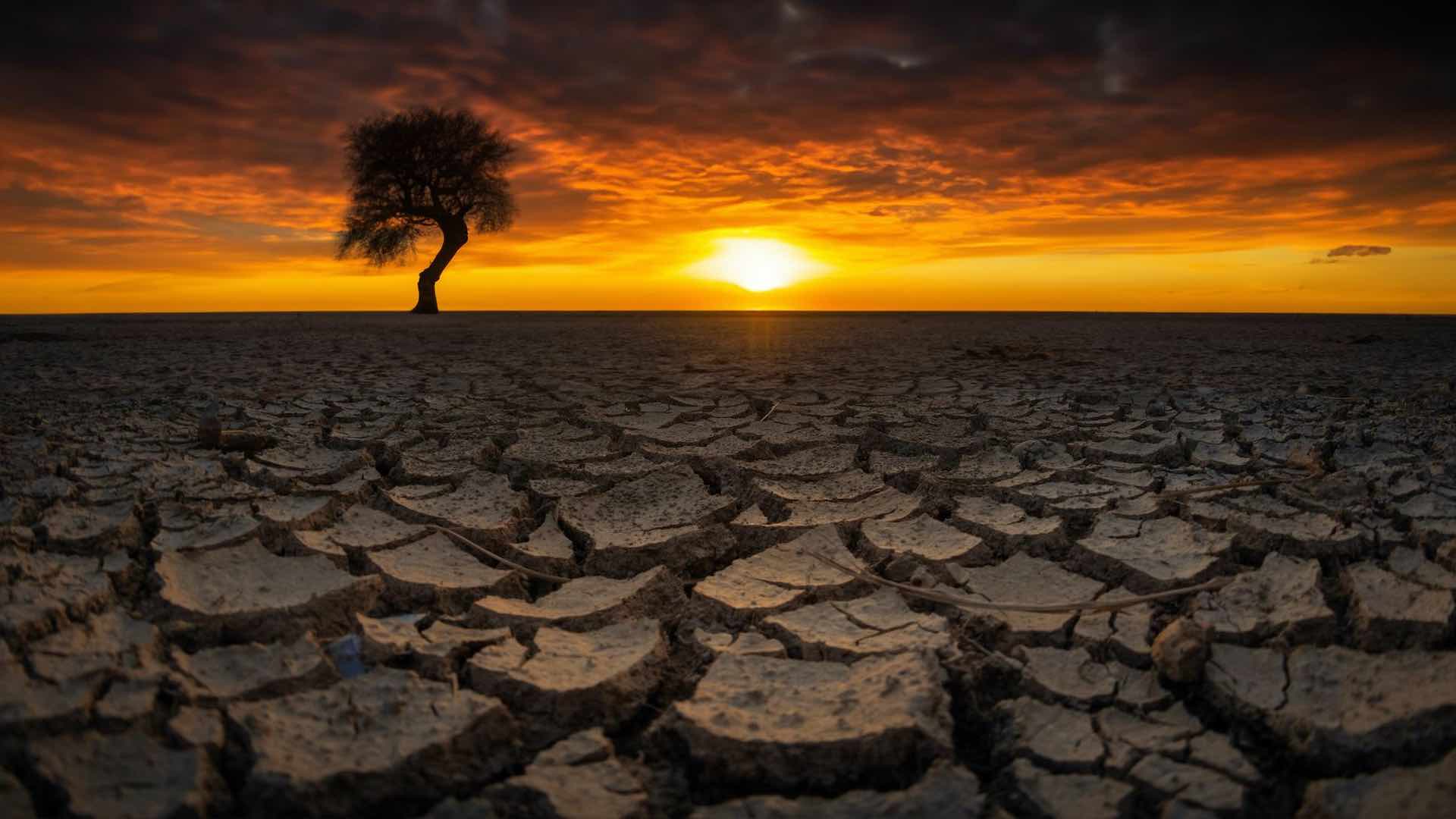 Spain grapples with severe drought as reservoirs run dry