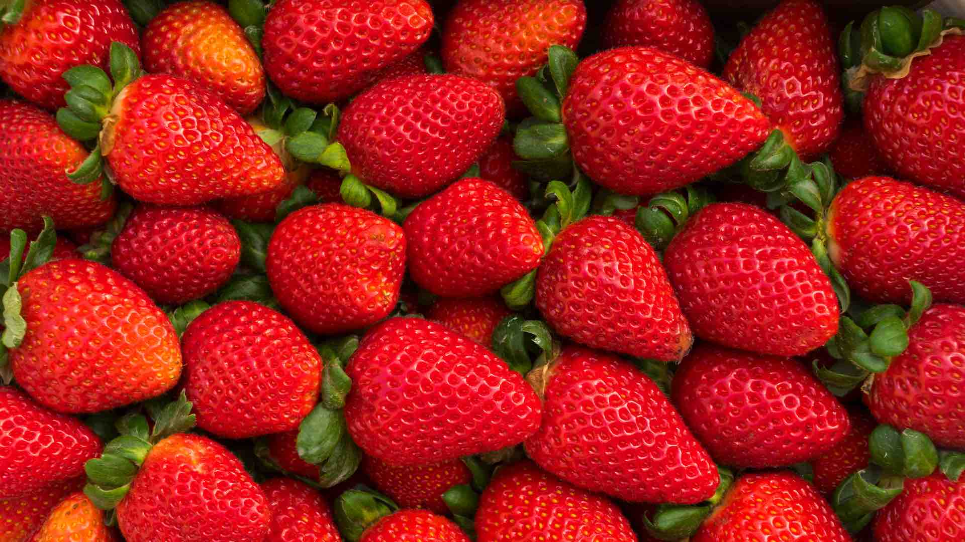 Strawberries, spinach lead EWG's 'dirty dozen' list for 2024