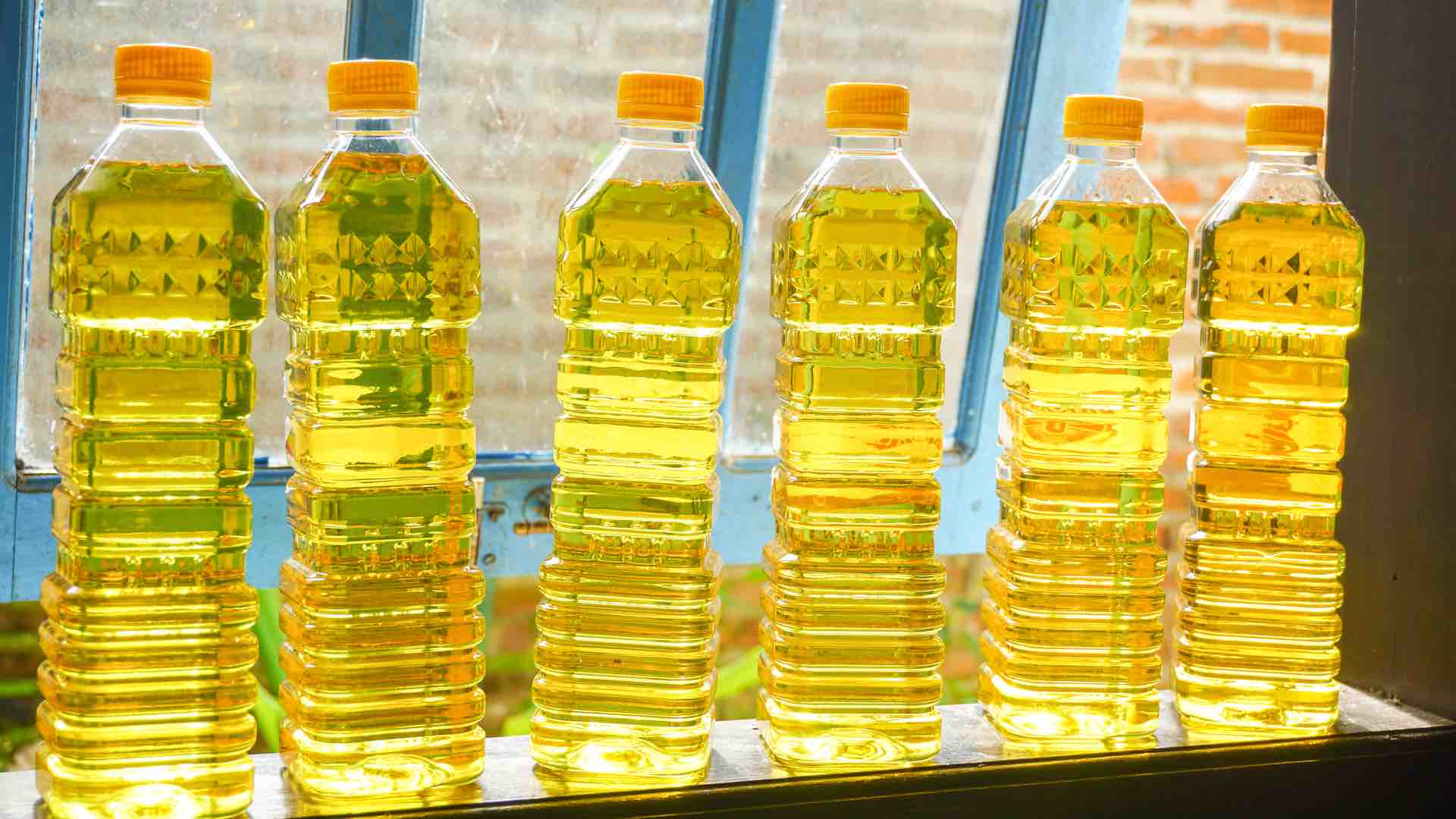 China’s cooking oil scandal leads to surge in sales of home oil presses