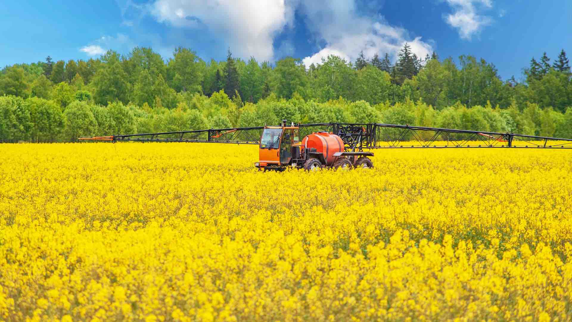 China retaliates against Canada with canola investigation amid EV dispute